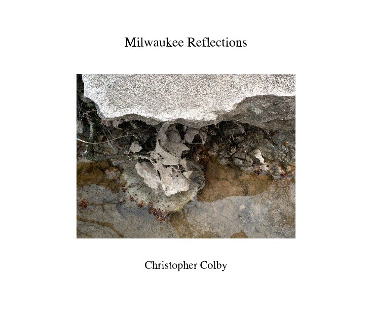 View Milwaukee Reflections by christopher colby