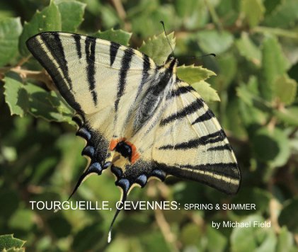 TOURGUEILLE, CEVENNES: SPRING & SUMMER book cover