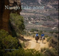 Navajo Lake 2008 book cover