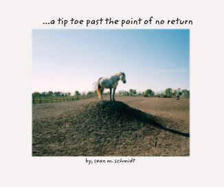 ...a tip toe past the point of no return by, sean m. schmidt book cover