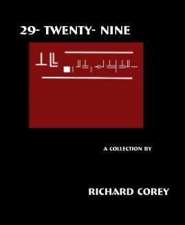 Twenty-nine book cover