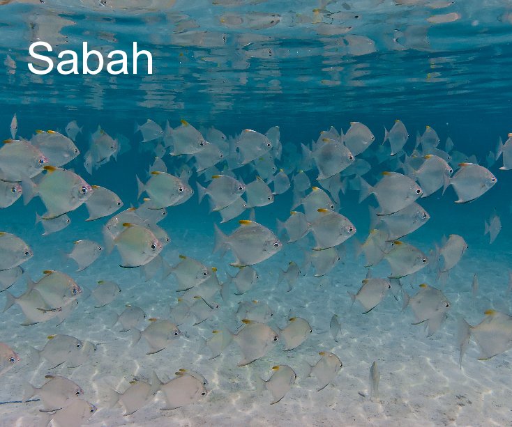 View Sabah by Shaun Clarke