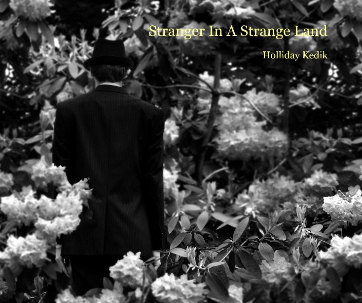 View Stranger In A Strange Land by Holliday Kedik