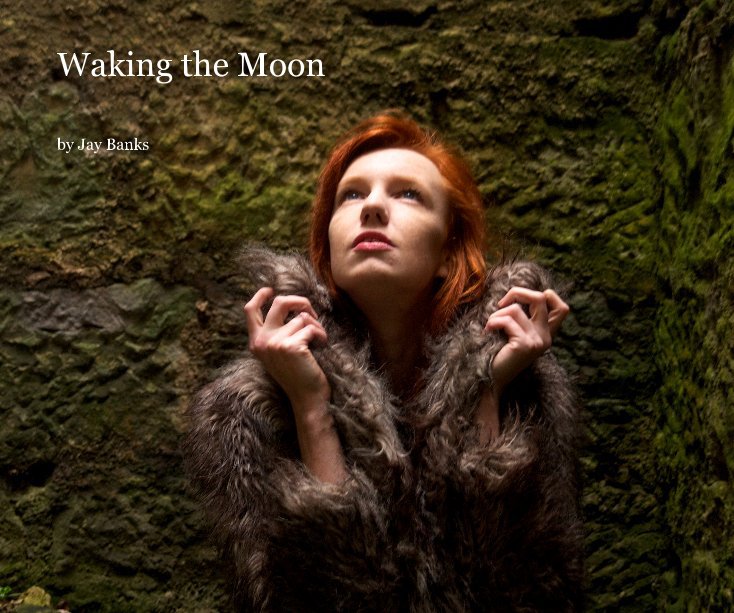 View Waking the Moon by Jay Banks