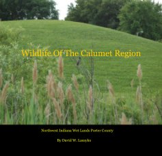 Wildlife Of The Calumet Region book cover