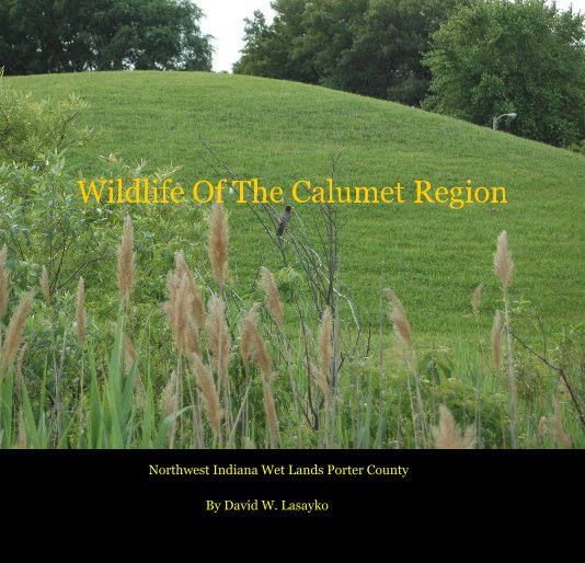 View Wildlife Of The Calumet Region by David W. Lasayko