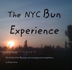 The NYC Bun Experience book cover
