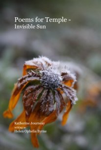 Poems for Temple - Invisible Sun book cover