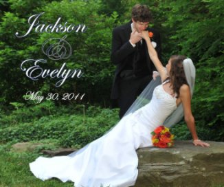 Stagnaro-Pinder Wedding book cover