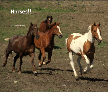 Horses!! book cover