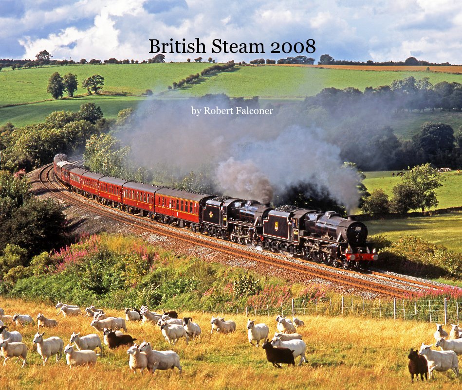 View British Steam 2008 by Robert Falconer