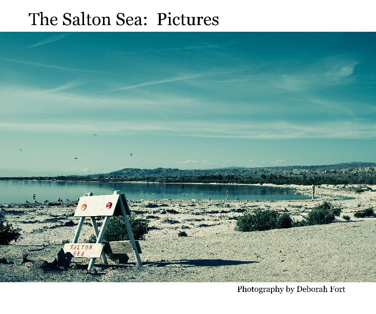 View The Salton Sea: Pictures by Photography by Deborah Fort
