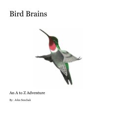 Bird Brains book cover