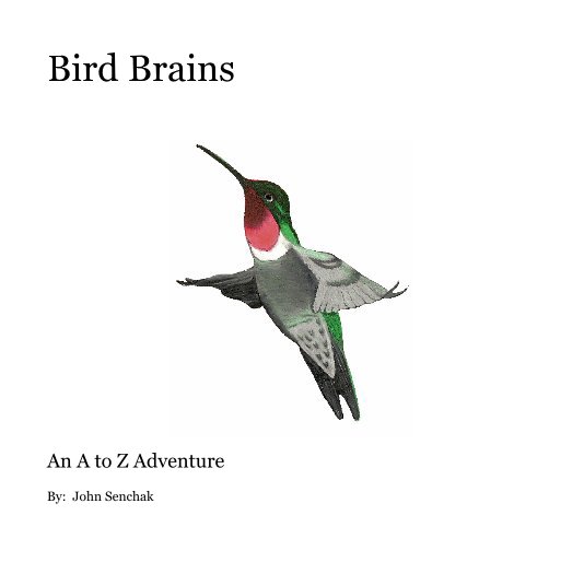 View Bird Brains by John Senchak