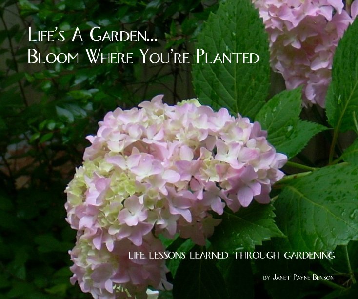 View Life's A Garden, Bloom Where You're Planted by Janet Payne Benson
