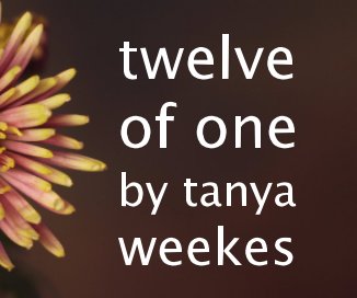 twelve of one by tanya weekes book cover