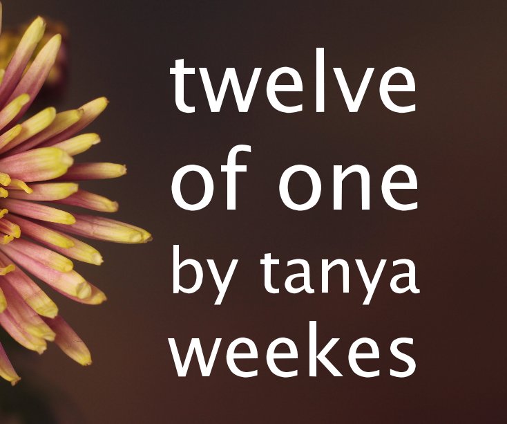 View twelve of one by tanya weekes by Tanya Weekes