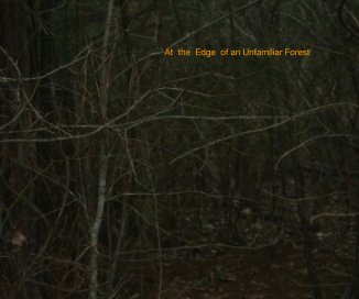 At the Edge of an Unfamiliar Forest book cover