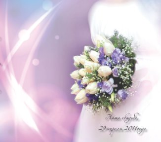 29.04.2011 book cover