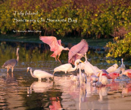 Tidy Island Sanctuary On Sarasota Bay book cover