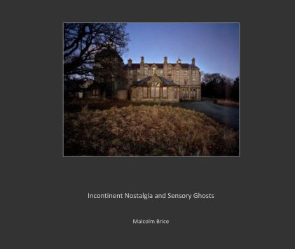 Incontinent nostalgia and sensory ghosts book cover