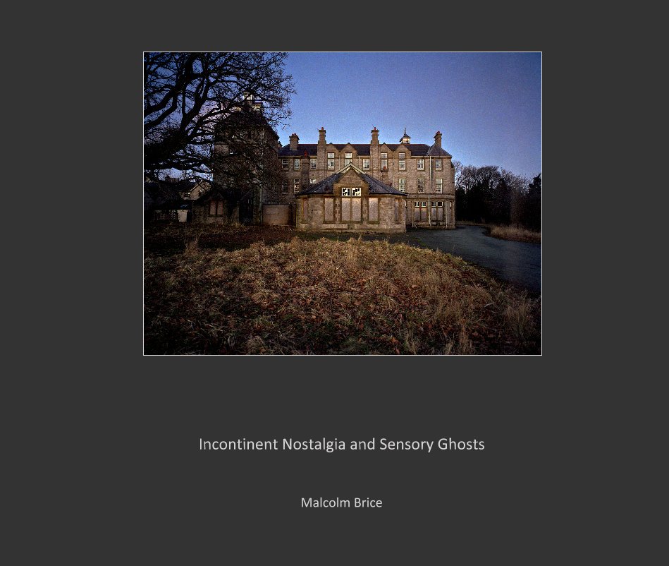 View Incontinent nostalgia and sensory ghosts by Malcolm Brice