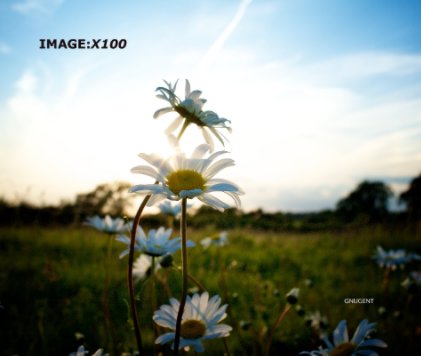 IMAGE:X100 book cover