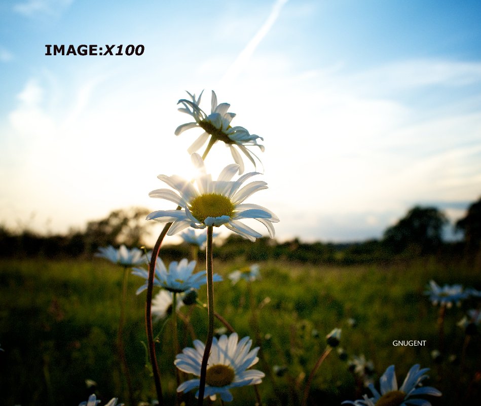 View IMAGE:X100 by GNUGENT