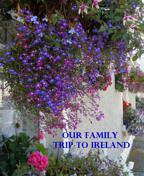Ver Ireland 2010 por Tracy O'Grady-Walsh