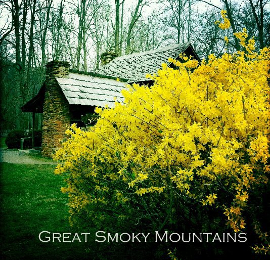 View Great Smoky Mountains by Lindsey Prentice