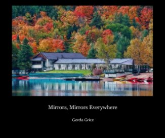 Mirrors, Mirrors Everywhere book cover