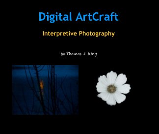 Digital ArtCraft book cover