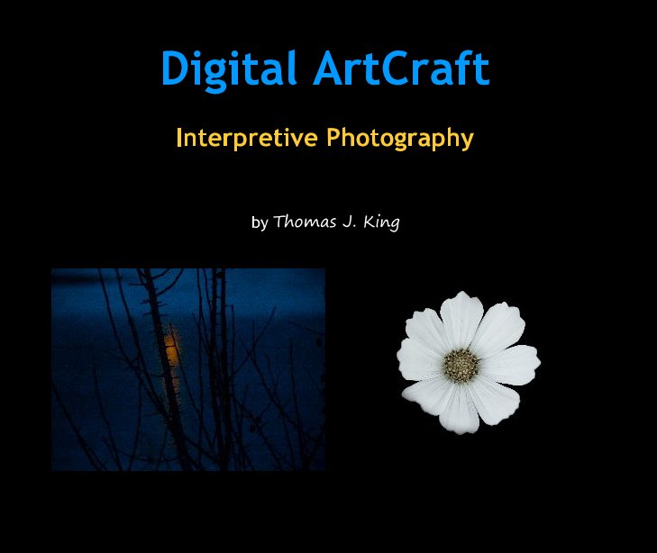 View Digital ArtCraft by Thomas J. King