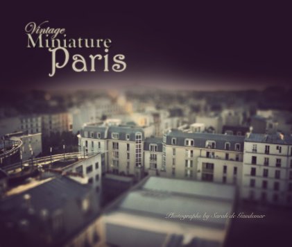 Vintage Miniature Paris book cover