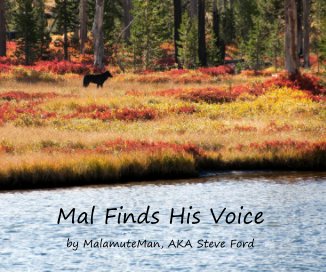 Mal Finds His Voice book cover