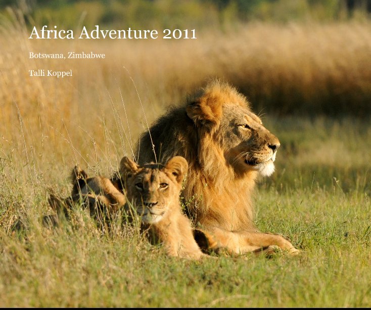 View Africa Adventure 2011 by Talli Koppel