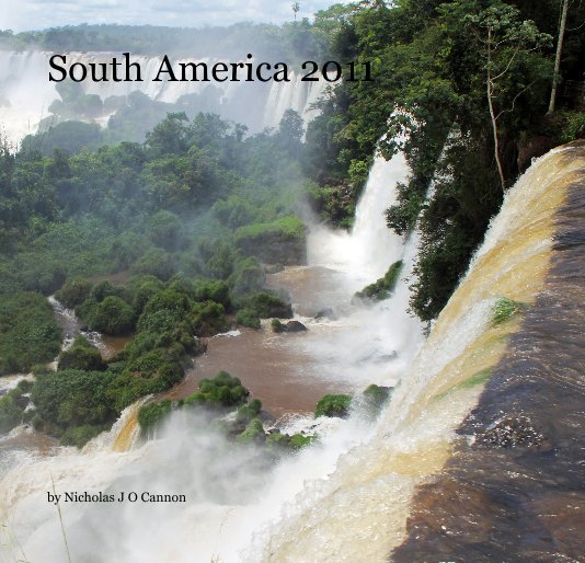 View South America 2011 by Nicholas J O Cannon