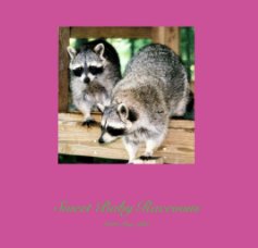 Sweet Baby Raccoons book cover