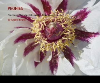 PEONIES book cover