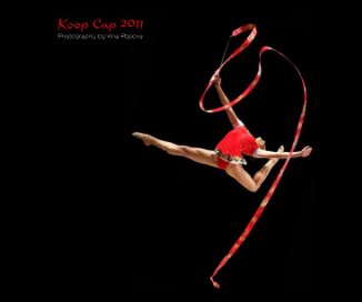 Koop Cup 2011 - frames book cover