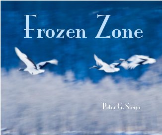 Frozen Zone book cover