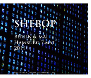 SheBop book cover