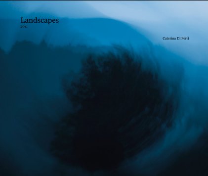 Landscapes 2011 Caterina Di Perri book cover