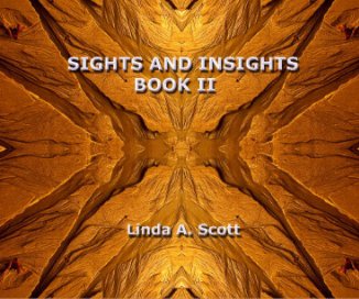 Sights And Insights book cover