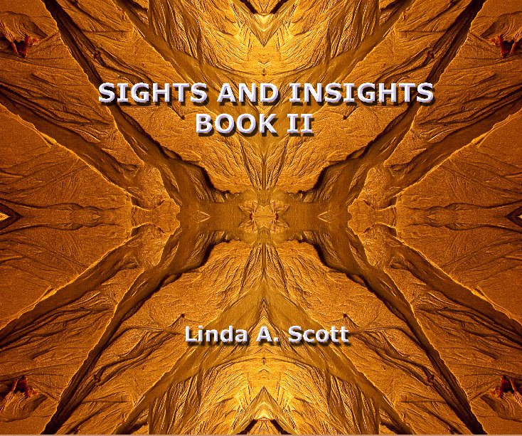 View Sights And Insights by Linda A Scott