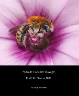 Portraits d'abeilles sauvages  Portfolio Namur 2011 book cover