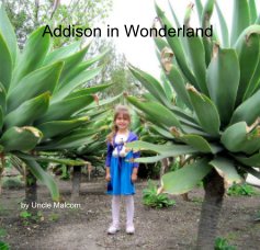 Addison in Wonderland book cover