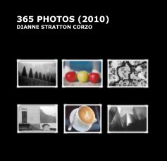 365 PHOTOS (2010) book cover