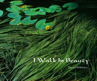 I Walk In Beauty book cover