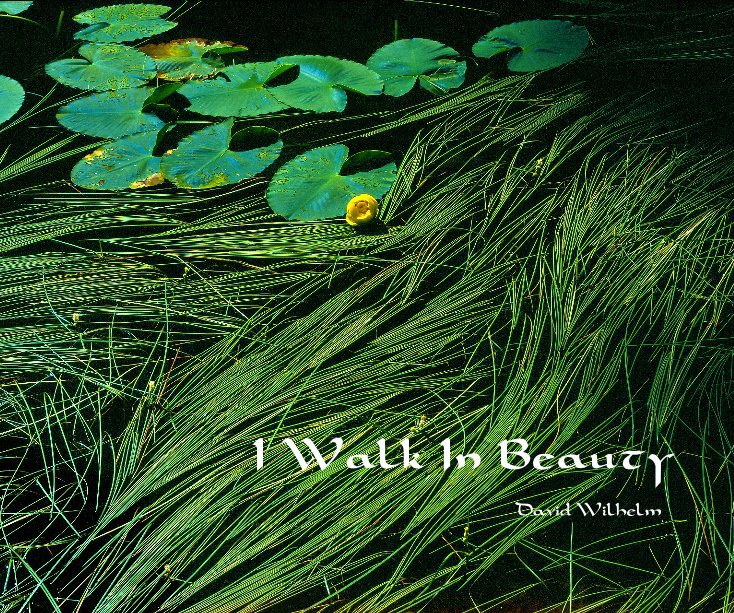 View I Walk In Beauty by David Wilhelm